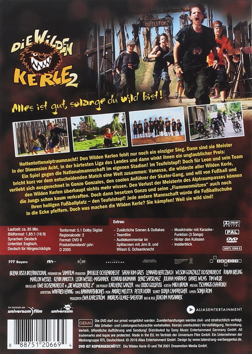 Die wilden Kerle 2
