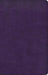 CSB Large Print Personal Size Reference Bible, Purple