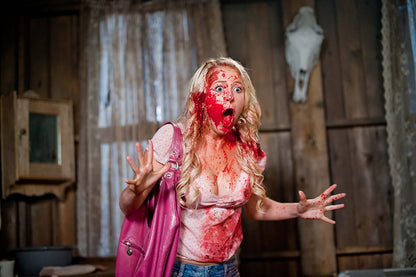 Tucker & Dale vs Evil
