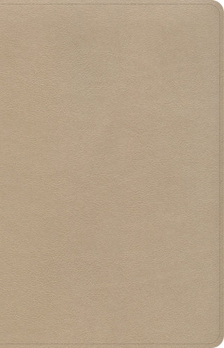 CSB Large Print Personal Size Reference Bible, Gold