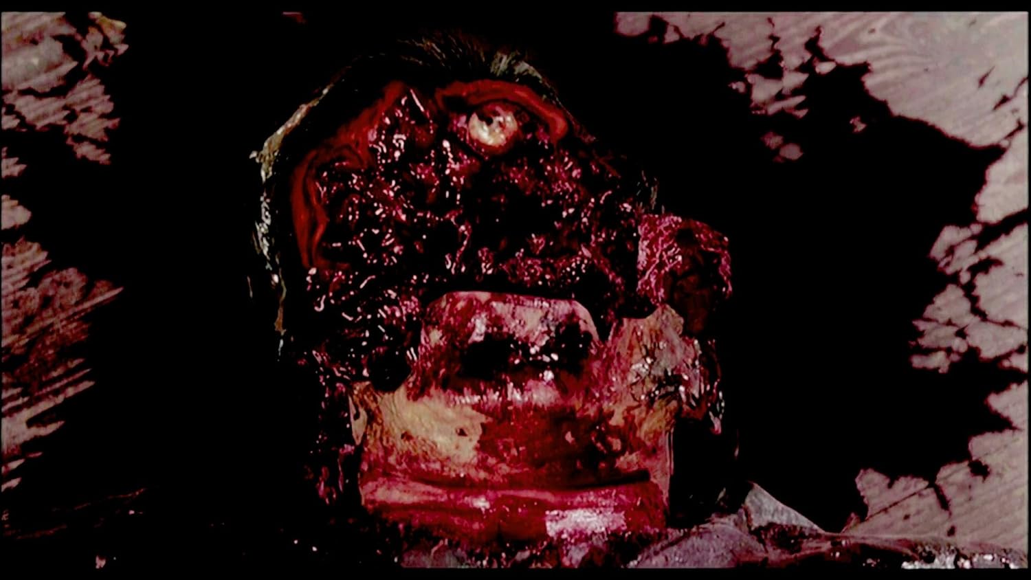 Zombie Onslaught (blu-ray) (import) Christopher Kriesa; Simon New