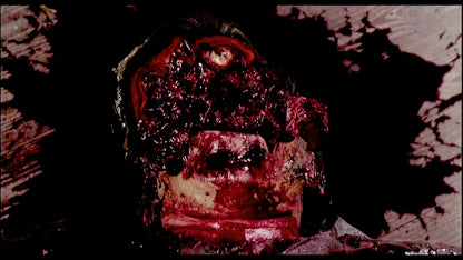 Zombie Onslaught (blu-ray) (import) Christopher Kriesa; Simon New