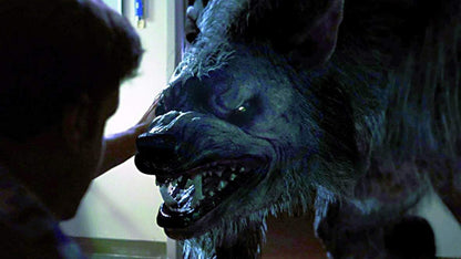 BLU-RAY DISC - BATTLEDOGS (1 Blu-ray)