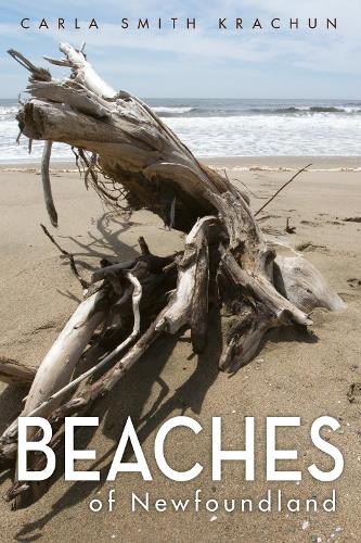 Beaches of Newfoundland