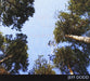 Rain From A Cloudless Sky