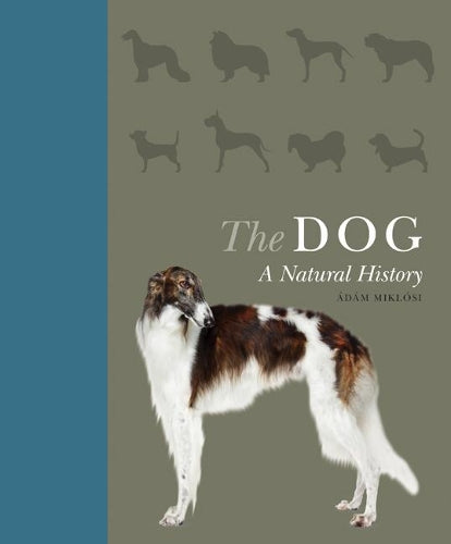The Dog
