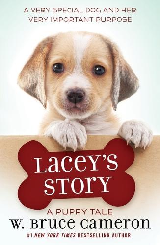 Lacey's Story