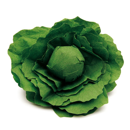 Erzi - Lechuga individual , juego de madera de alimentación (12 x 4.2 cm