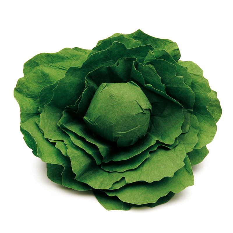 Erzi - Lechuga individual , juego de madera de alimentación (12 x 4.2 cm