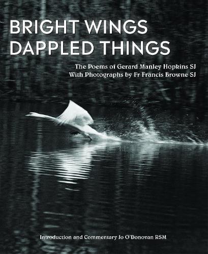 Bright Wings, Dappled Things