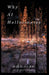 Why AI Hallucinates