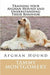 Training Your Afghan Hound and Understanding Their Behavior
