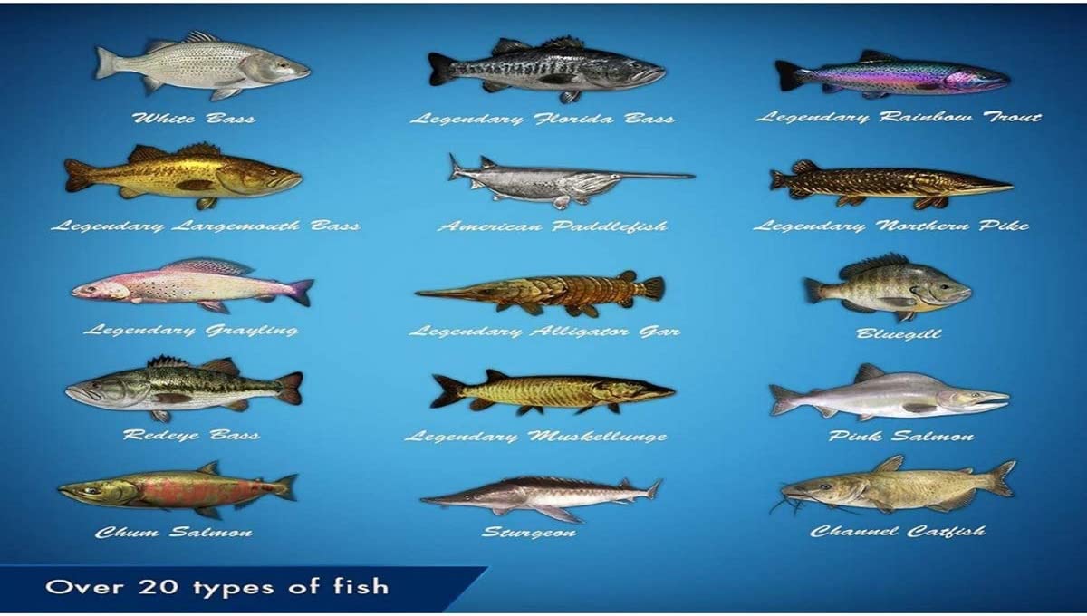 Legendary Fishing (PS4