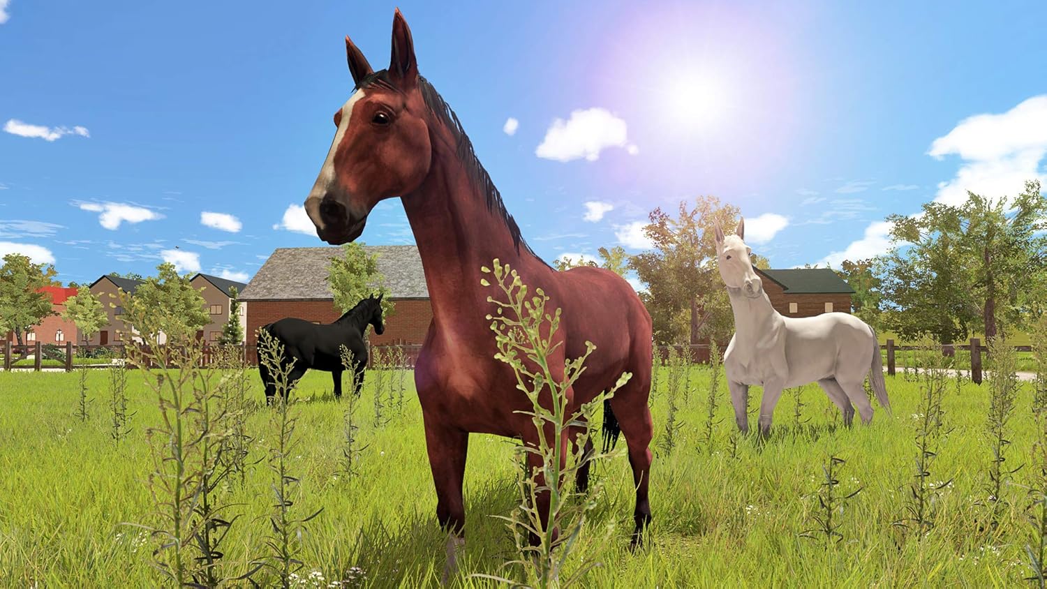 PS4 - My Little Riding Champion (1 GAMES