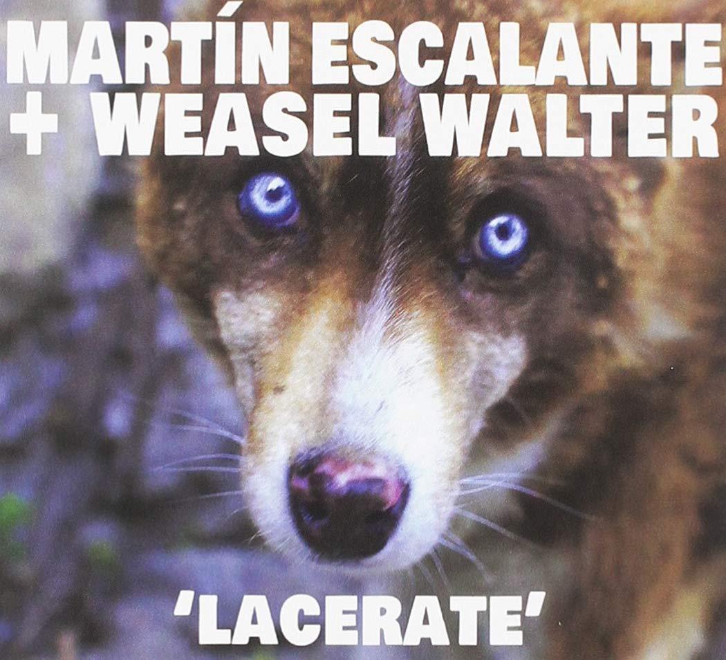 Lacerate