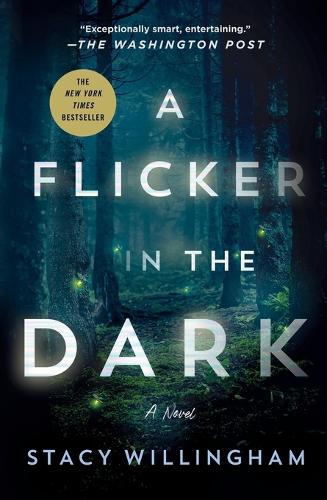 Flicker in the Dark