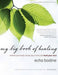 My Big Book of Healing
