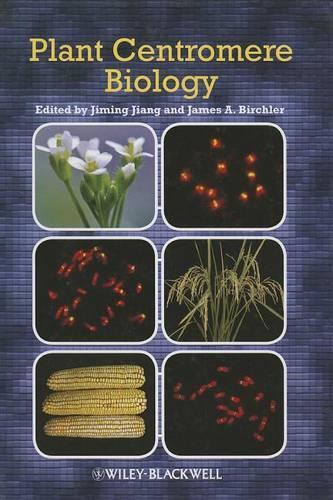Plant Centromere Biology