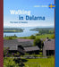 Walking in Dalarna