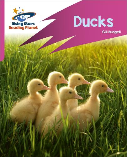 Reading Planet: Rocket Phonics – Target Practice – Ducks – Pink B