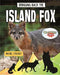 Bringing Back the Island Fox