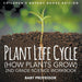 Plant Life Cycle (How Plants Grow)