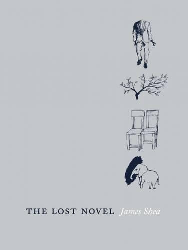 The Lost Novel