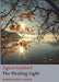 The Healing Light