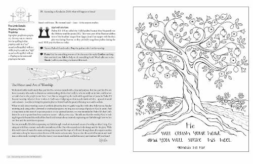 Discovering Jesus in the Old Testament: A Creative Devotional Study Experience (Discovering the Bible