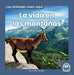 La vida en las montañas (Life in the Mountains)