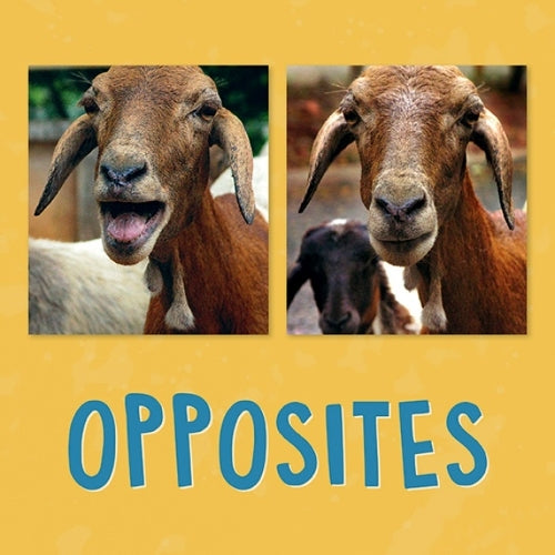 Opposites: English Edition (Nunavummi