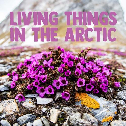 Living Things in the Arctic: English Edition (Nunavummi Reading Series