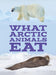 What Arctic Animals Eat: English Edition (Nunavummi