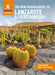 The Mini Rough Guide to Lanzarote & Fuerteventura: Travel Guide with eBook