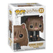 Funko Pop! Vinyl: Harry Potter : Hermione Granger As Cat - Hermine Granger - Vinyl-Sammelfigur - Geschenkidee - Offizielle Handelswaren - Spielzeug Für Kinder und Erwachsene - Movies Fans