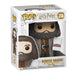 Funko Pop! HP: - 6" Rubeus Hagrid mit Cake - Harry Potter - Vinyl-Sammelfigur - Geschenkidee - Offizielle Handelswaren - Spielzeug Für Kinder und Erwachsene - Movies Fans