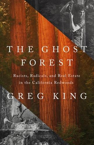 The Ghost Forest