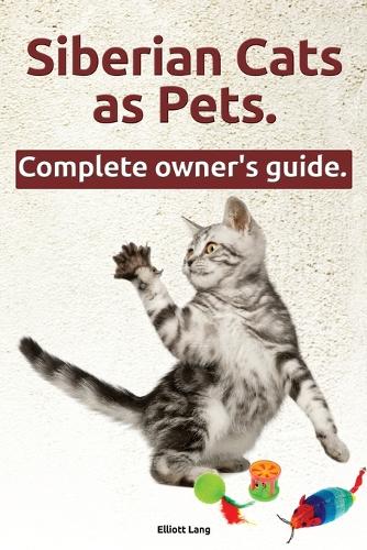 Siberian Cats as Pets. Siberian Cats