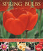 Spring Bulbs