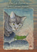 ZEN Cat Observes
