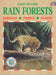 Life in the Rainforests
