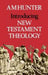 Introducing New Testament Theology