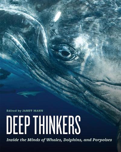 Deep Thinkers