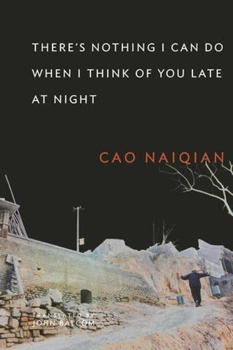 There’s Nothing I Can Do When I Think of You Late at Night