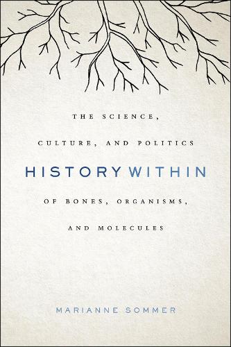 History Within