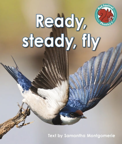 Ready, steady, fly (Red Squirrel Phonics Level 7 Set 2b