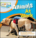 Animals at Work