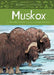 Animals Illustrated: Muskox