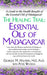 The Healing Trail