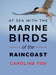 At Sea With the Marine Birds of the Raincoast